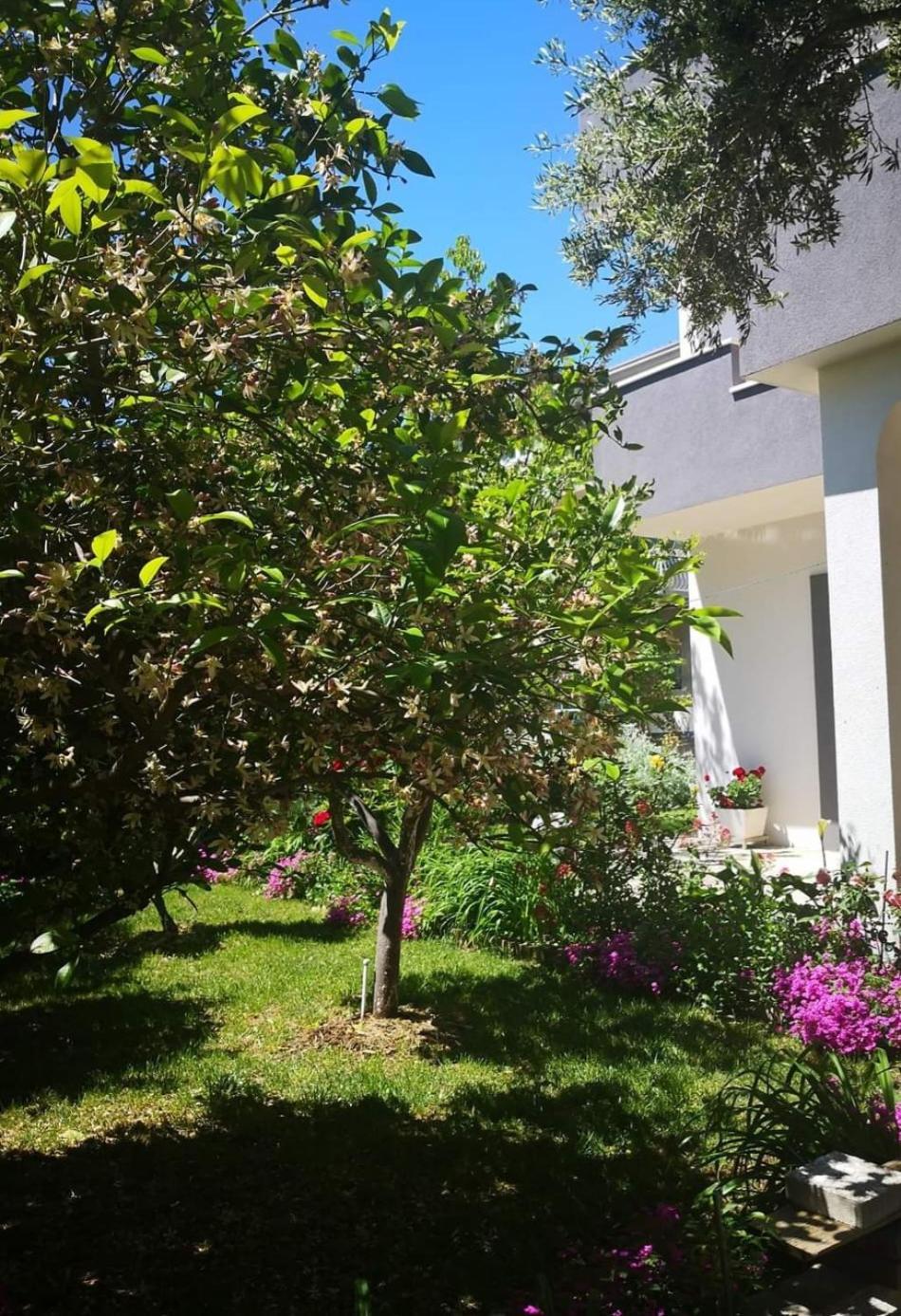 Apartmani Dianna Kaštela Exteriör bild